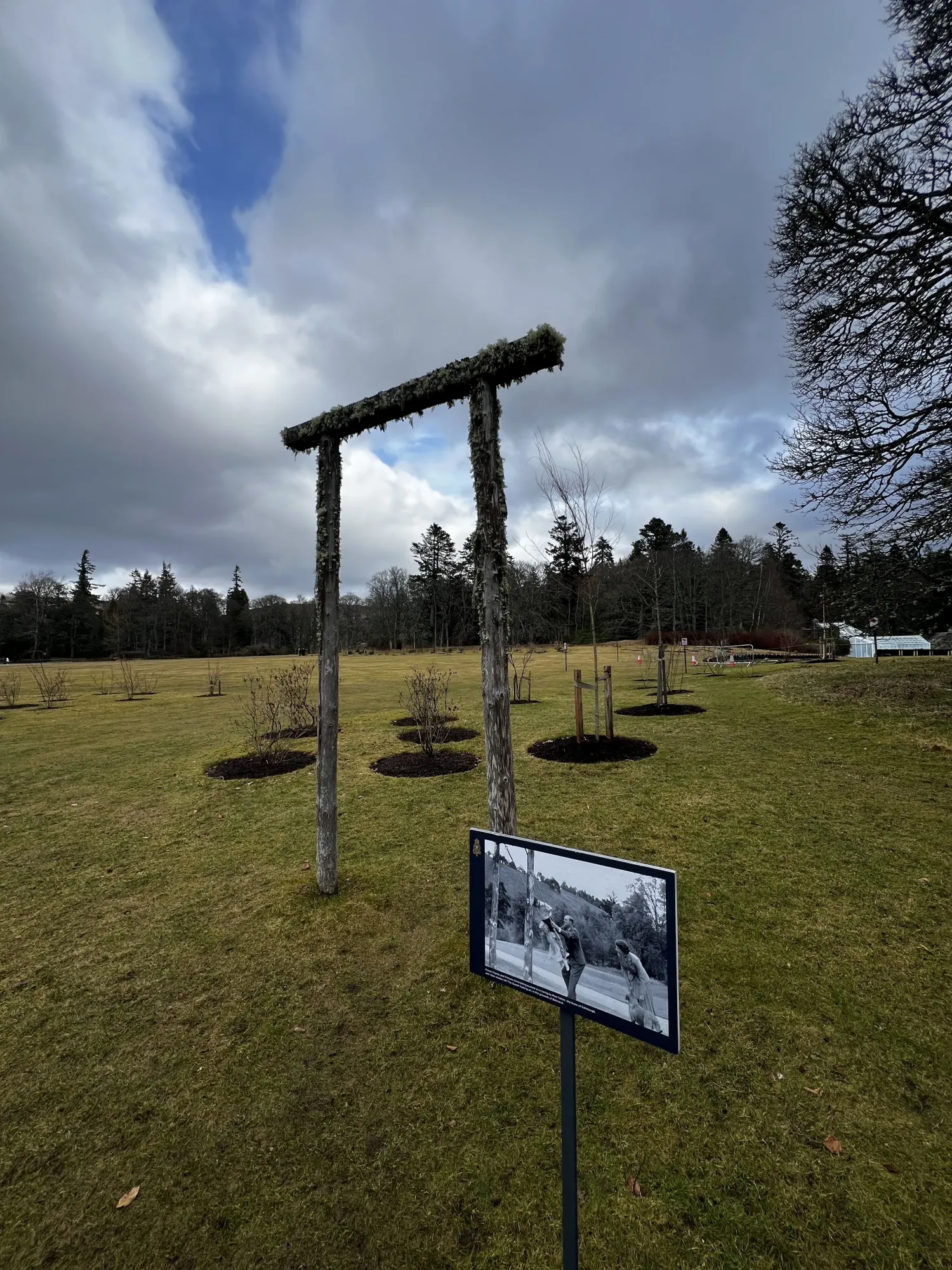 Kings swing